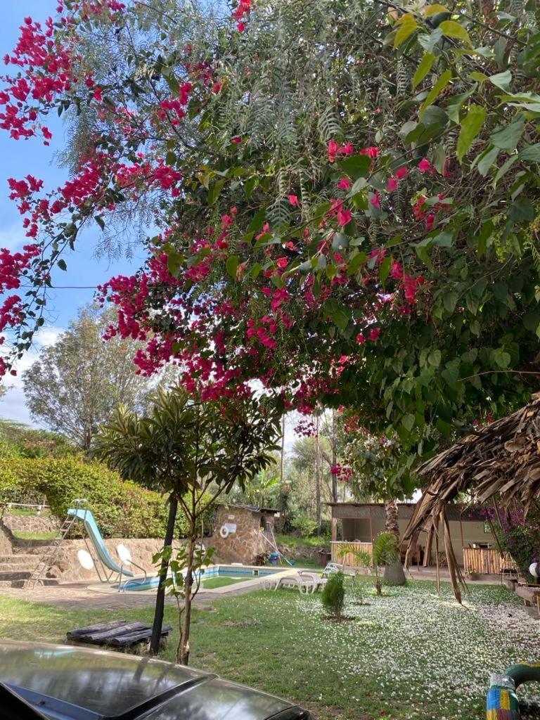 Guesthousejane Villa & Apartments Naivasha Dış mekan fotoğraf